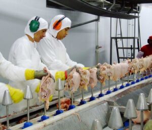 Anvisa proíbe em todo Brasil lote de peito de frango da marca D+ Alimentos (Foto: Reprodução / Internet)