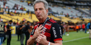 Landim, presidente do Flamengo  (Foto: Divulgação)