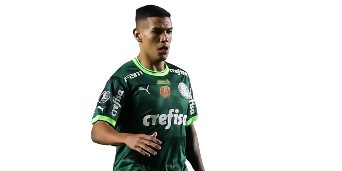 Naves é zagueiro (Foto: Divulgação/Palmeiras)