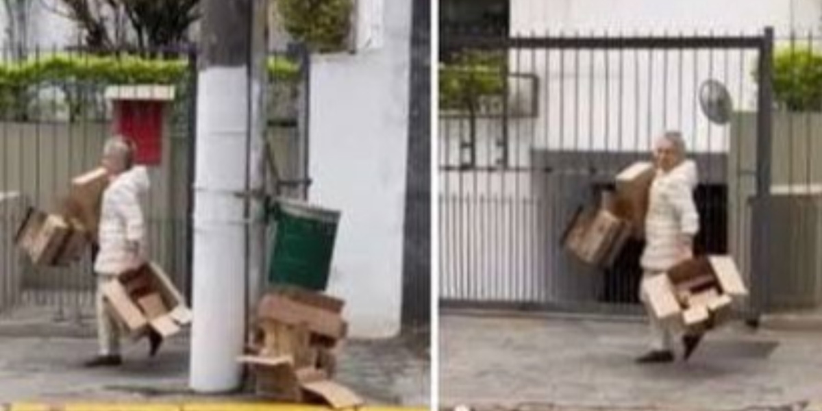 Regina Duarte catando papelão nas ruas de São Paulo (Foto: Reprodução/Internet)