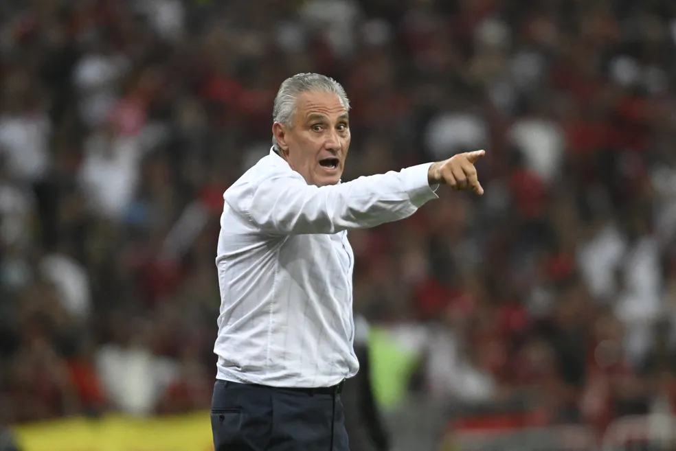 Flamengo de Tite pode perder jogador (Foto: Divulgação)