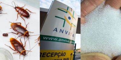 3 proibições da ANVISA parando o Brasil - Montagem TVFOCO