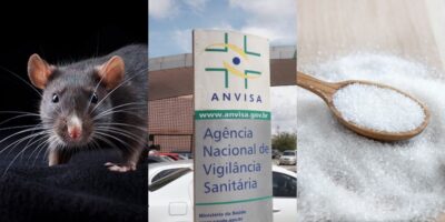 Anvisa, pelo de rato e açúcar (Foto: Reprodução/ Internet)