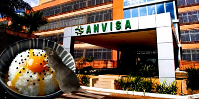 ANVISA determinou a proibição de 2 marcas de arroz após grave denúncia (Foto Reprodução/Montagem/Tv Foco)