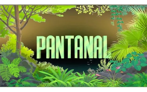 Pantanal. Foto: Reprodução/Internet