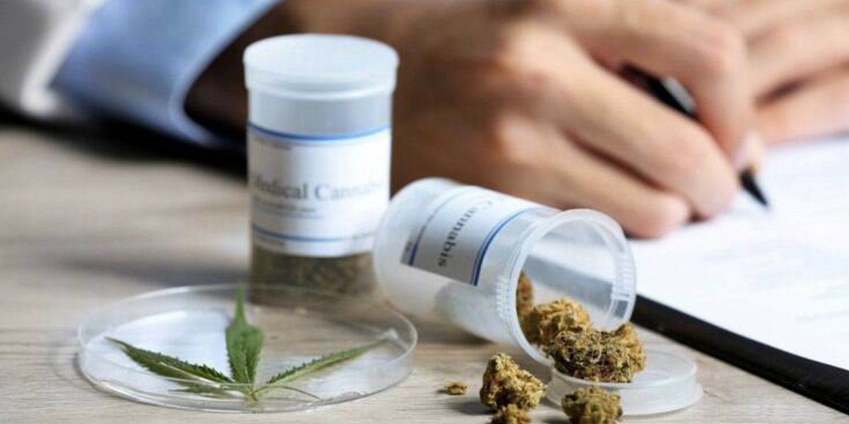 Medicamento e maconha (Foto: Reprodução / Shutterstock)