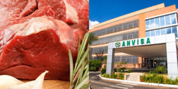 Anvisa teve que barrar marca de carne (Foto: Divulgação)