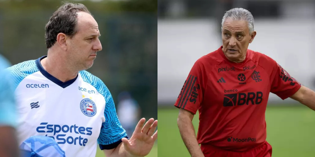 Bahia de Ceni pode perder jogador para Flamengo de Tite (Foto: Divulgação)