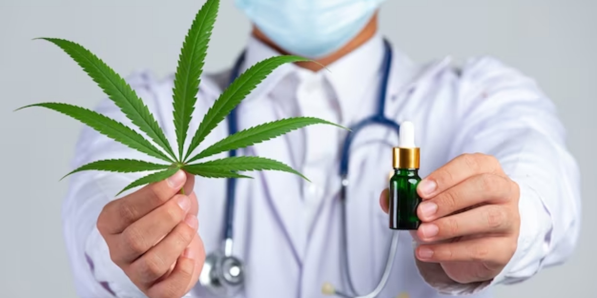 Anvisa emitiu proibição sobre a cannabis (Foto: Freepik)