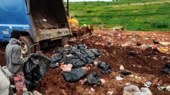 Cerca de uma tonelada de alimentos sem condições higiênico-sanitárias foram descartados - Foto Internet