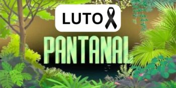 Luto Pantanal. Foto: Reprodução/Internet