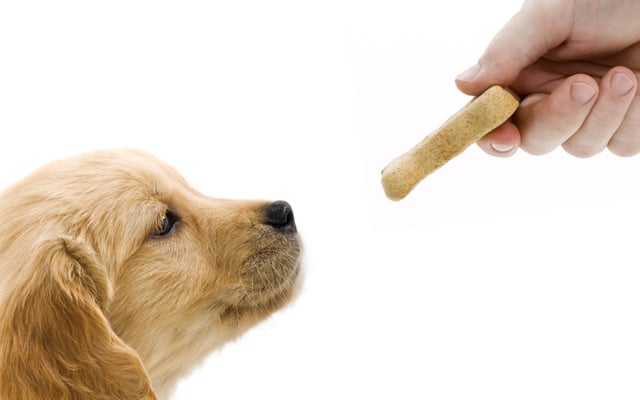 Petiscos para cães e a proibição da Anvisa (Foto: Divulgação)