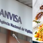 Anvisa interdita restaurantes e faz alerta (Foto: Internet)