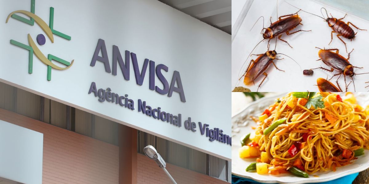 Anvisa interdita restaurantes e faz alerta (Foto: Internet)