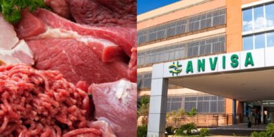 Anvisa faz proibição contra marcas de carne (Foto: Reprodução/ Internet)