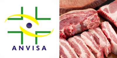 Anvisa proíbe marcas de carne (Foto: Reprodução, Montagem - TV Foco)