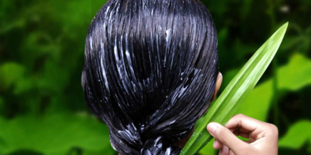 Babosa no cabelo (Foto: Reprodução, O Imparcial)