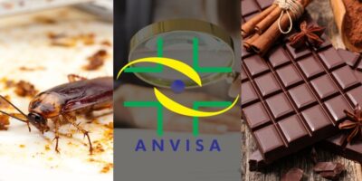 Baratas / Logo Anvisa / Chocolates  - Montagem TVFOCO