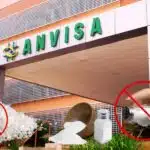 Fachada da Anvisa e sal proibido - Foto Reprodução Internet