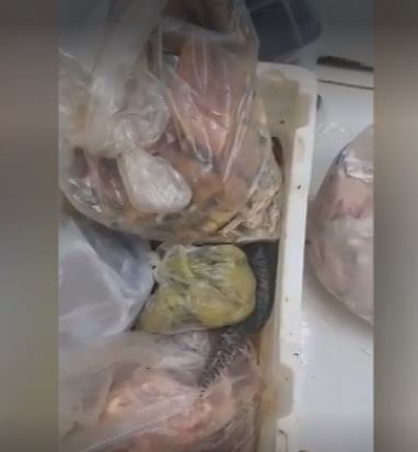 Fiscais do Procon encontram quase 100 kg de carnes podres com moscas e baratas em supermercado de Goiânia - Foto Divulgação Procon Goiás