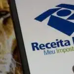 Leão do Imposto de Renda e aplicativo da Receita Federal (Foto: Reprodução / Internet) 