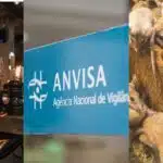 Restaurante / Logo Anvisa / Ratos - Montagem CANVA