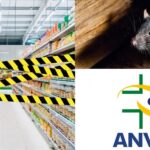 Mercado precisou ser interditado, de acordo com leis da Anvisa (Foto: Reprodução/ Internet)