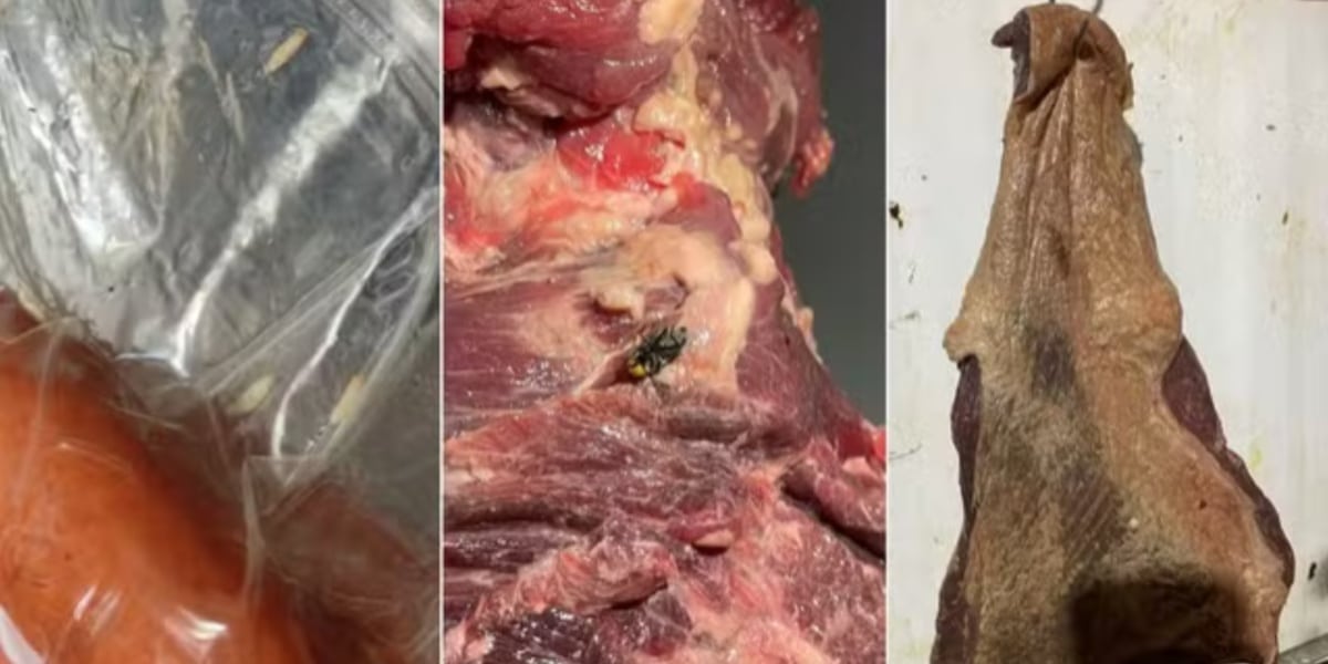 Amostras de pedaços de carnes com larvas, insetos, bolor e coloração escura - Foto: Polícia Civil