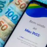 Meu INSS é o aplicativo oficial do programa (Reprodução: Internet)