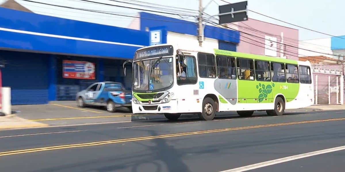 Ônibus de SP (Reprodução/Internet)