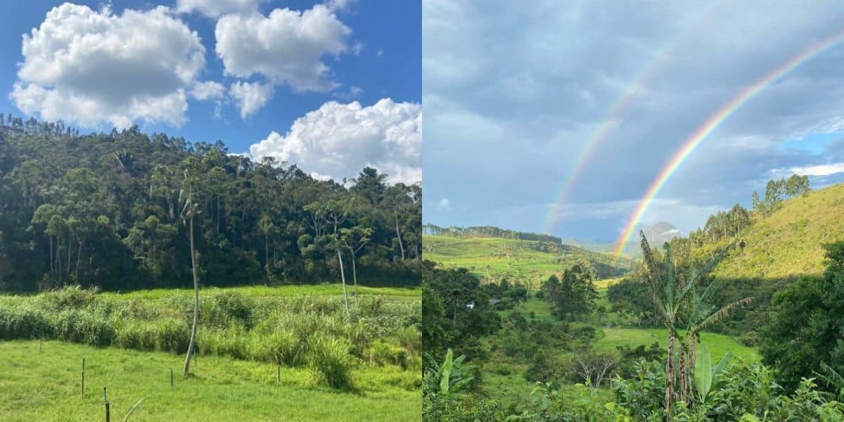 Fazenda Vale das Palmeiras (Reprodução/Internet)