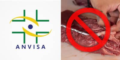 ANVISA - Carne (Foto: Reprodução, Montagem - TV Foco)