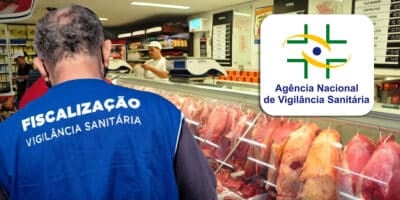 ANVISA - Carne, açougues (Foto: Reprodução, Montagem - TV Foco)