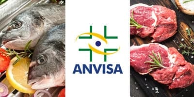 Anvisa - Peixe e Carne (Foto: Reprodução, Montagem - TV Foco)