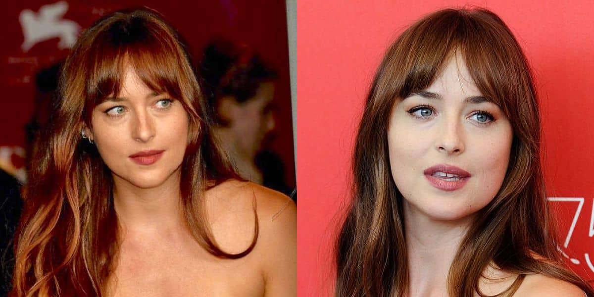 Dakota Johnson usa a cor do cabelo mogno (Reprodução: Montagem TV Foco)