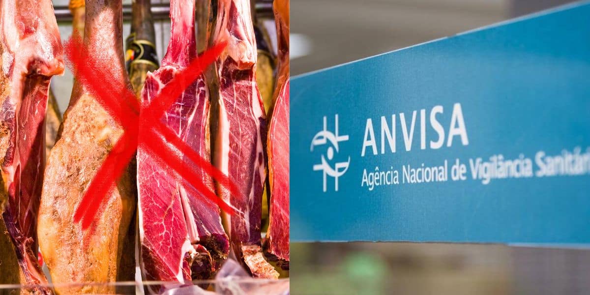 Foto de carnes / Logo Anvisa - Montagem TVFOCO