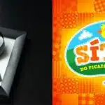 Imagem de luto / Logo do Sítio do Pica Pau Amaralo - Montagem TVFOCO