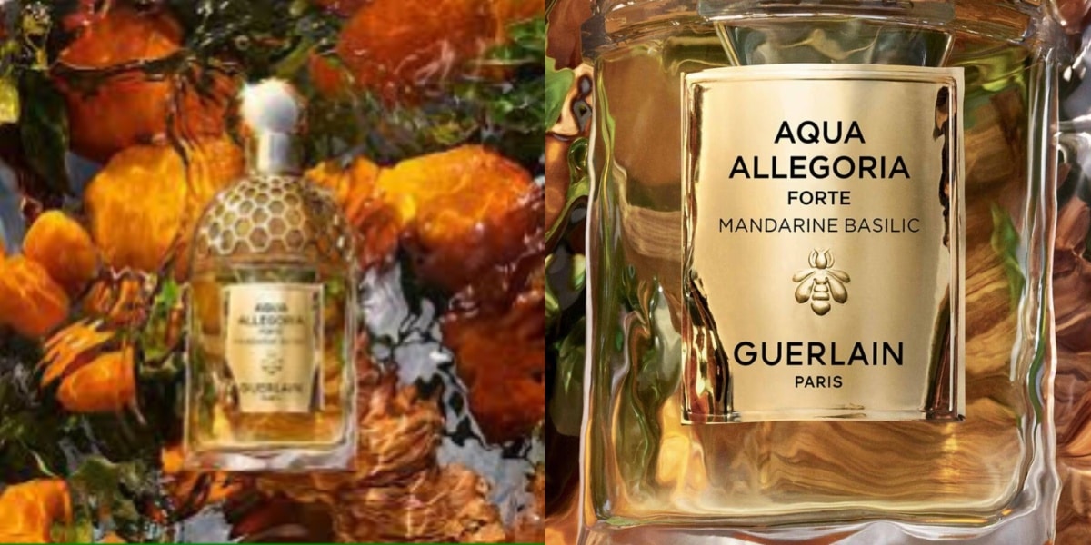 Perfume Aqua Allegoria Forte - Mandarine Basilic Guerlain (Foto: Reprodução/ Internet)