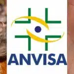 A proibição da Anvisa contra produtos queridinhos após ser encontrado fezes de rato (Foto: Internet)