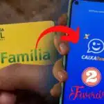 Bolsa Família e Caixa Tem (Foto: Reprodução / Pronatec)
