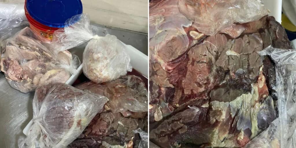 Carne apreendida pela Anvisa (Foto: Divulgação)