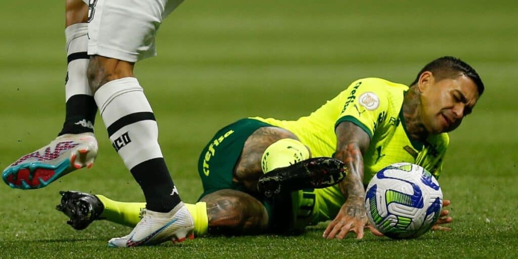Dudu se lesionou em jogo contra o Vasco (Reprodução: Internet)