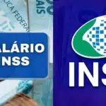 Dadas de pagamentos do 13° salário do INSS (Reprodução: Montagem TV Foco)