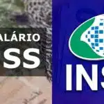 3 anúncios sobre o 14° salário do INSS (Reprodução: Montagem TV Foco)