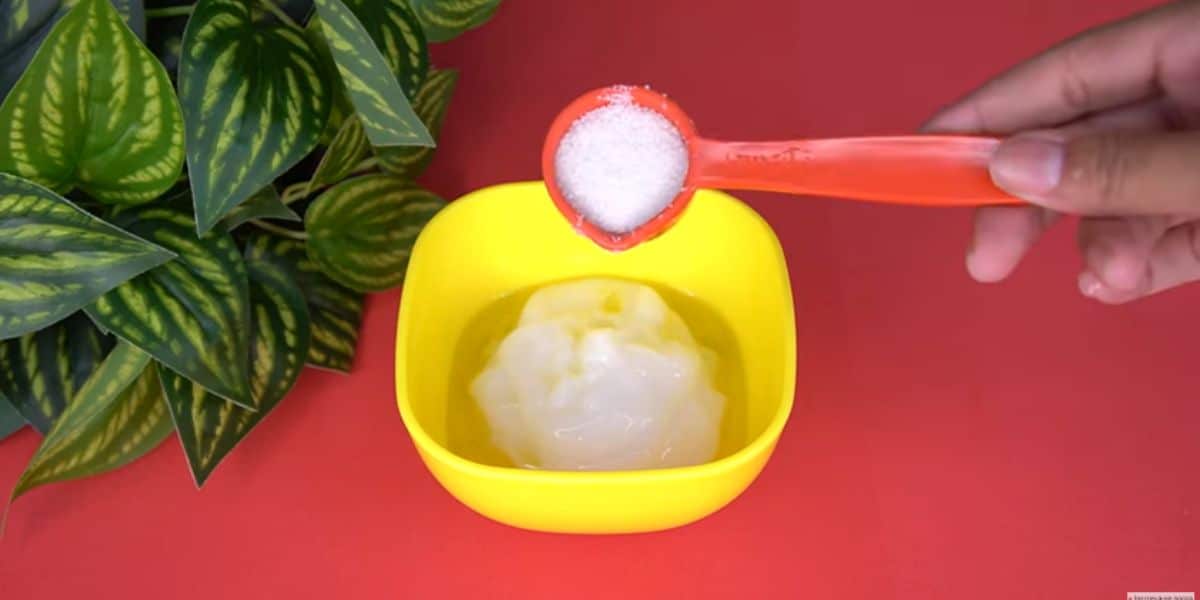 Máscara capilar, óleo de coco, azeite e açúcar fazem parte da mistura (Reprodução: Internet)