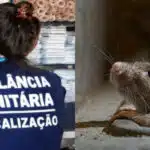 Vigilância Sanitária encontrou ratos e baratas em lanchonete (Foto: Divulgação)