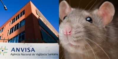 Anvisa proíbe marcas de sal e açúcar devido pelo e fezes de rato (Foto: Reprodução/ Internet)