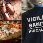 Baratas / Pizzaria / Vigilância Sanitária - Montagem TVFOCO