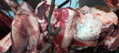 Carnes estavam sendo armazenadas de forma irregular - CREDITO CAMPO GRANDE NEWS