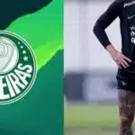 Palmeiras e Rojas (reprodução - Internet)